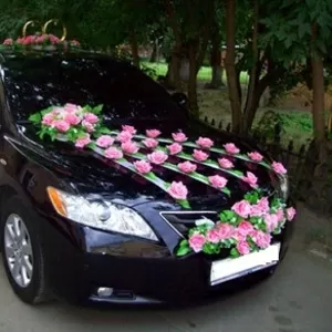 Авто (камри) для свадьбы