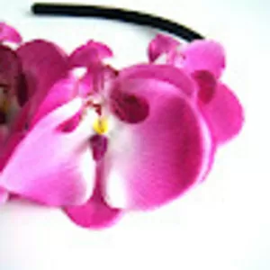 Ободки с орхидеями и др. цветами