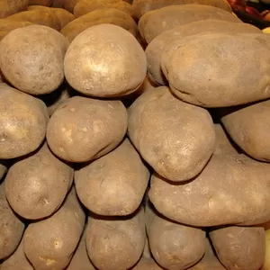 Продам отборный картофель,  с доставкой в Крым,  звони!
