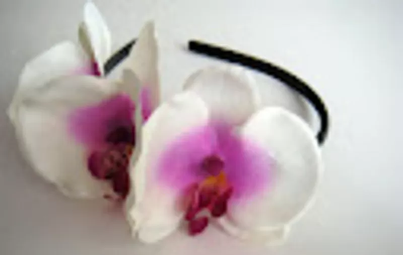 Ободки с орхидеями и др. цветами 2