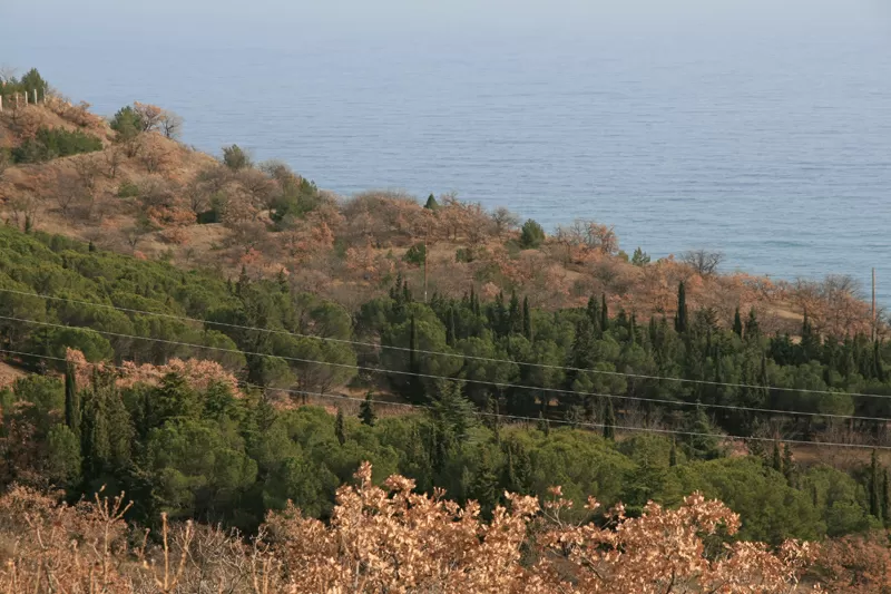 г.Алушта,  Александрийская дача. 