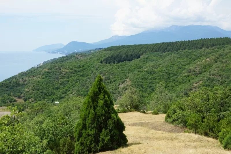 10 соток в живописном месте рядом с Алуштой!