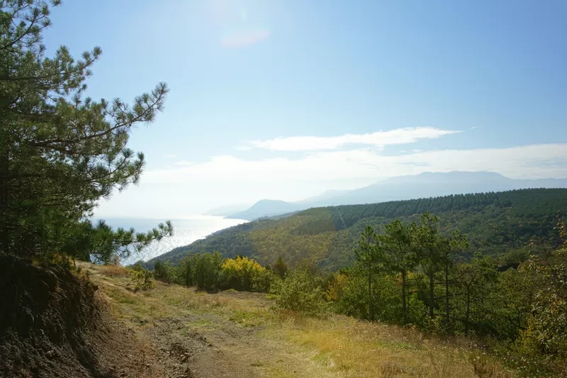 10 соток в живописном месте рядом с Алуштой! 5