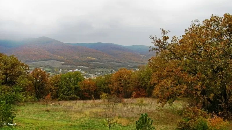 Прекрасный участок в с. Гончарное. Севастополь 2