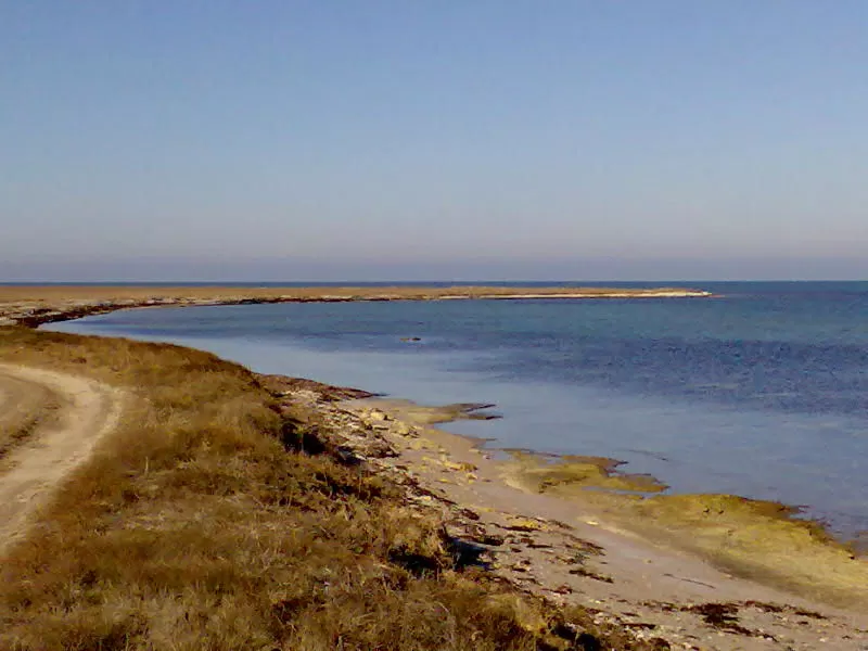 21 ГА У МОРЯ !!! КРЫМ ПГТ ЧЕРНОМОРСКОЕ_МЕЖВОДНОЕ 3