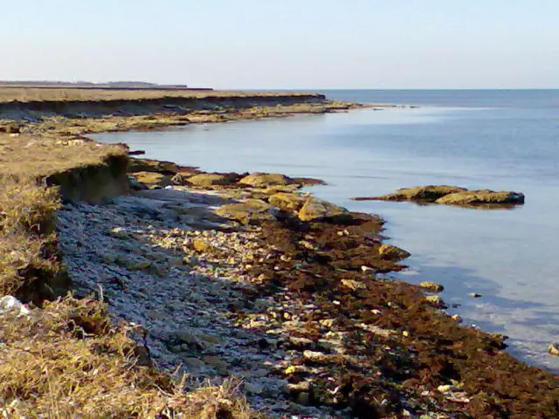 21 ГА У МОРЯ !!! КРЫМ ПГТ ЧЕРНОМОРСКОЕ_МЕЖВОДНОЕ 4