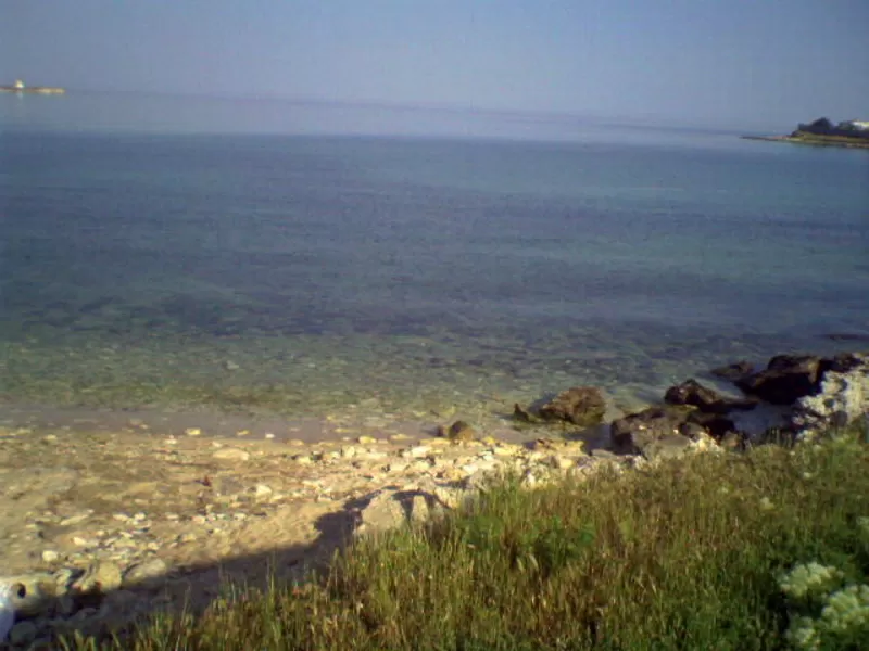 21 ГА У МОРЯ !!! КРЫМ ПГТ ЧЕРНОМОРСКОЕ_МЕЖВОДНОЕ 6